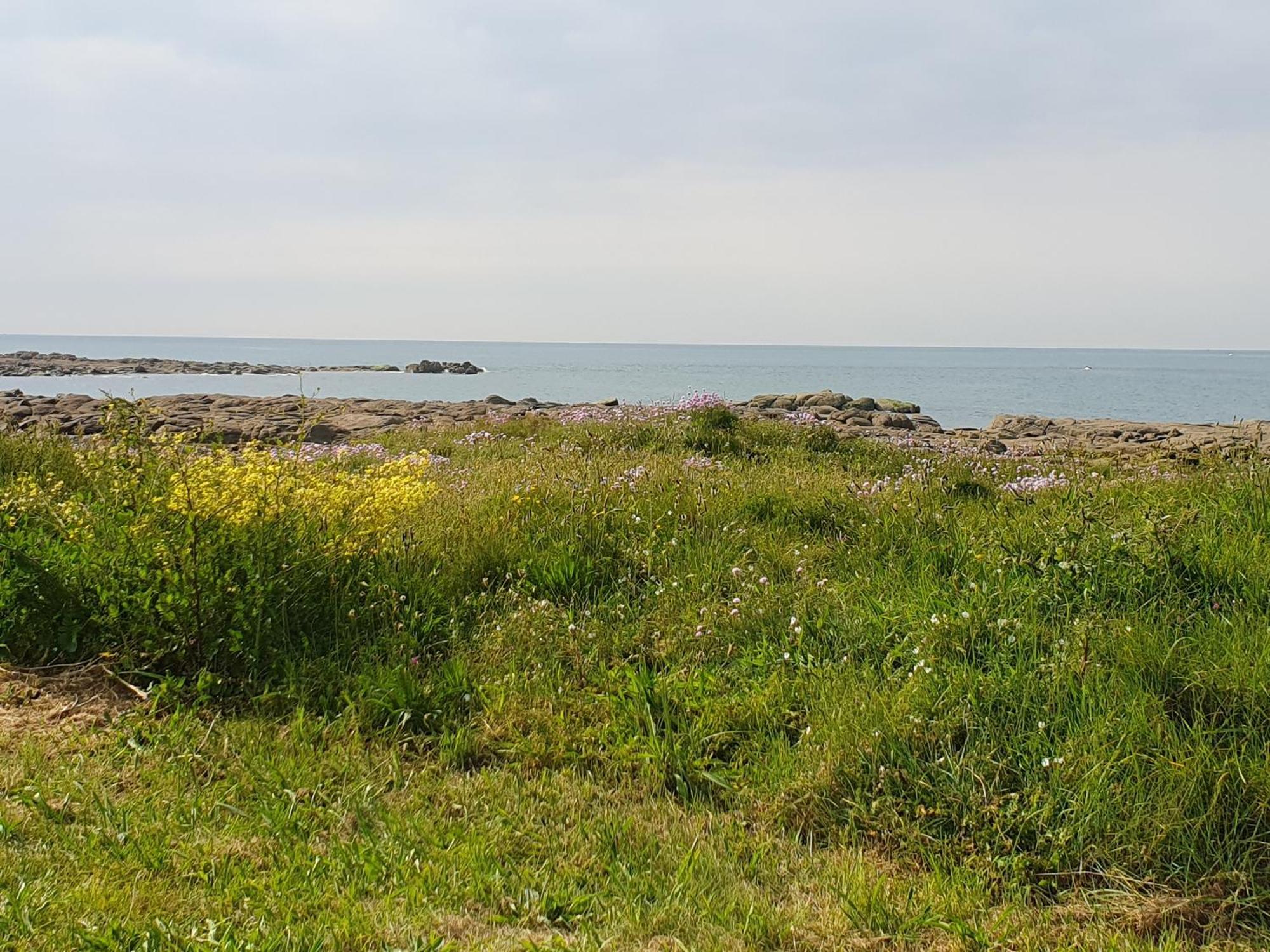 Le Relais Du Phare Otel Gatteville-le-Phare Dış mekan fotoğraf